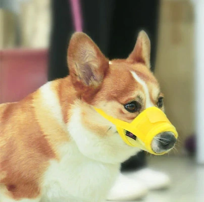 Anti Barking Dog Muzzle for Dogs