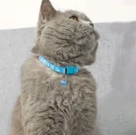 Fashion Pet Cats Collar - Image 2